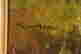 item-128746779=3