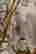 item-128746917=9