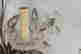 item-128746918=9
