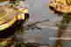 item-128746919=16