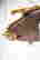 item-128746919=20