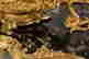 item-128746919=4