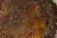 item-128747023=14