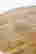 item-131019406=8
