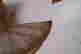 item-131828996=10