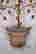 item-131828996=8