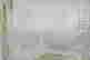 item-131829050=5
