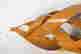 item-131829104=2