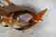 item-131829104=6