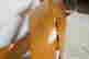 item-131829104=8