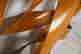 item-131829104=9