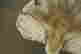 item-131829109=10