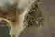 item-131829109=3