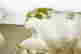 item-131829109=4
