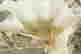 item-131829109=6