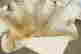 item-131829109=7