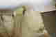 item-131829109=8