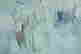 item-131829197=5