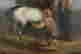 item-131829287=11