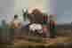 item-131829287=3