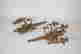 item-131829308=13