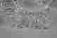 item-131829400=4