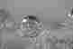 item-131829400=6