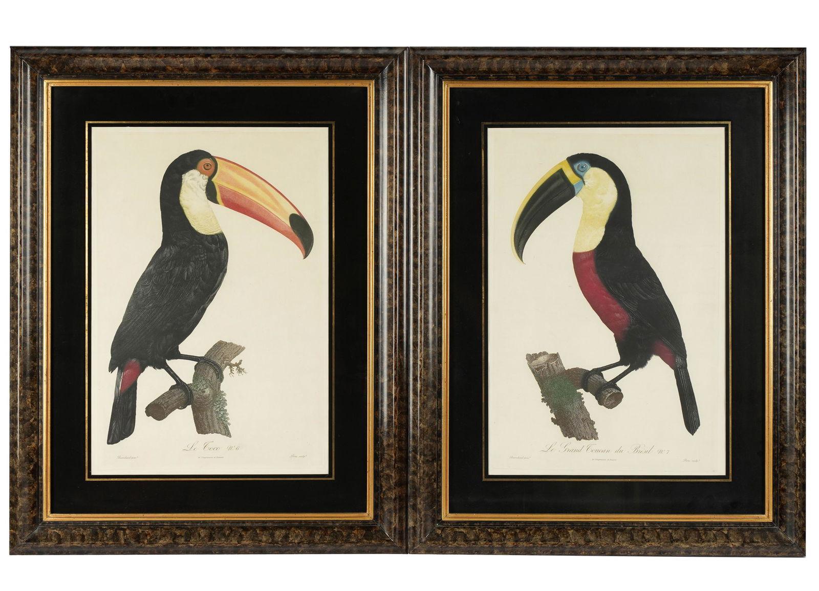 AFTER JACQUES BARRABAND (1768 - 1809): TWO TOUCAN PRINTS (1 of 11)