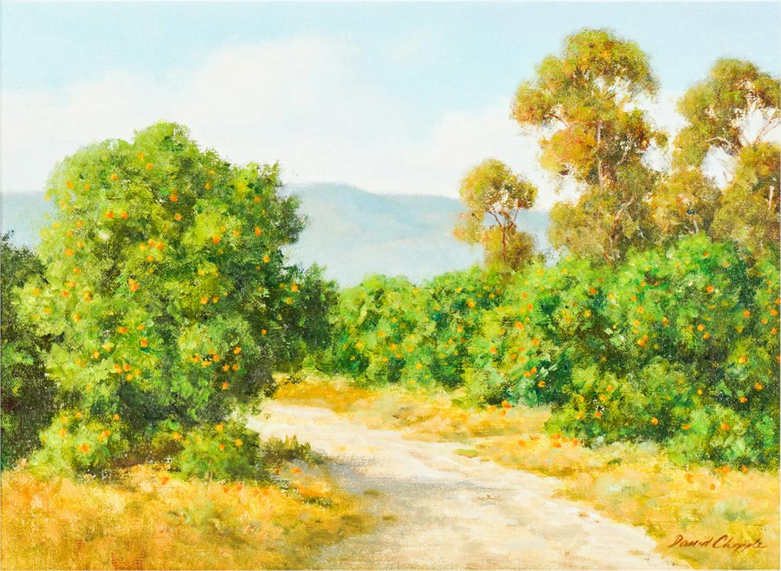 DAVID CHAPPLE (B. 1947): ORANGE COUNTY (1 of 10)