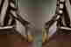 item-134235017=6