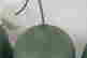 item-134235052=6