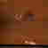 item-134235072=11