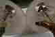 item-134235194=14