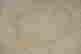 item-134235254=8