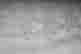 item-134235266=4