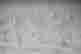 item-134235266=5