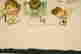 item-134235267=2