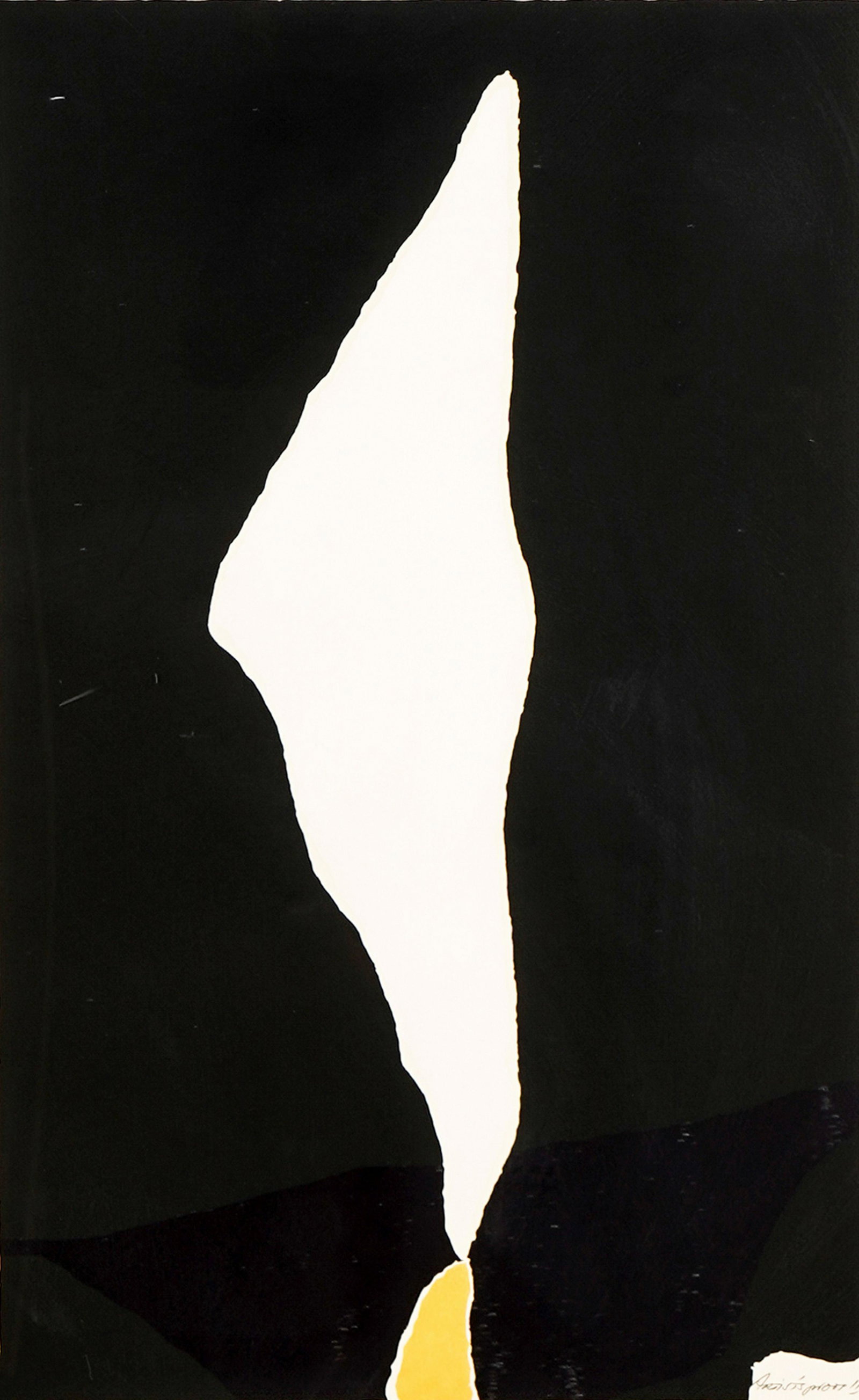 20TH CENTURY: BLACK & PURPLE (1 of 7)