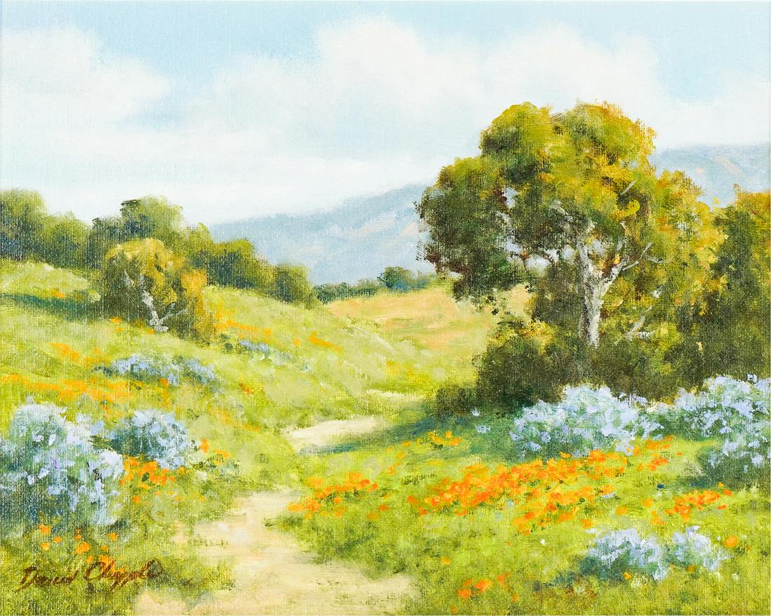 DAVID CHAPPLE (B.1947): BACKCOUNTRY (1 of 10)