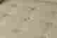 item-135670701=8