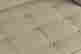 item-135670701=9