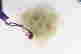 item-135670906=7