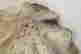 item-135671003=10