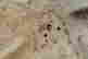 item-135671003=11