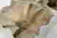 item-135671003=4