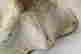 item-135671003=8
