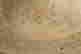 item-135671004=8