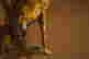 item-137340161=10