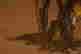 item-137340161=7