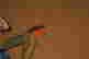 item-137340161=8